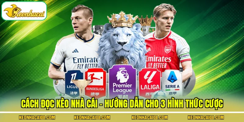 Cách Đọc Kèo Nhà Cái - Hướng Dẫn Cho 3 Hình Thức Cược